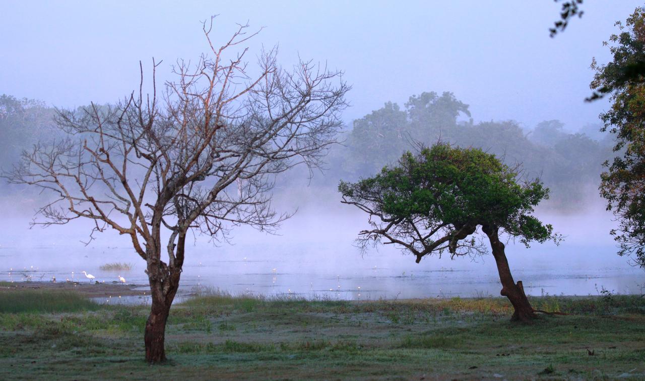 The Ibis - Wilpattu Villa Puttalam Bagian luar foto