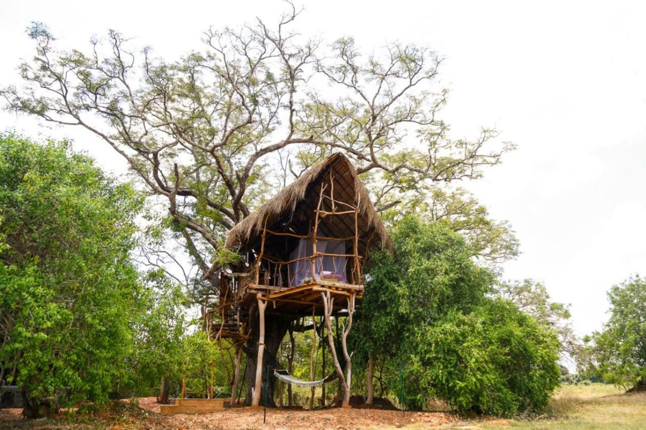 The Ibis - Wilpattu Villa Puttalam Bagian luar foto