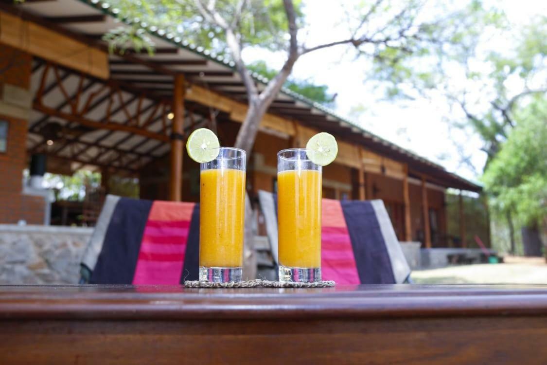The Ibis - Wilpattu Villa Puttalam Bagian luar foto